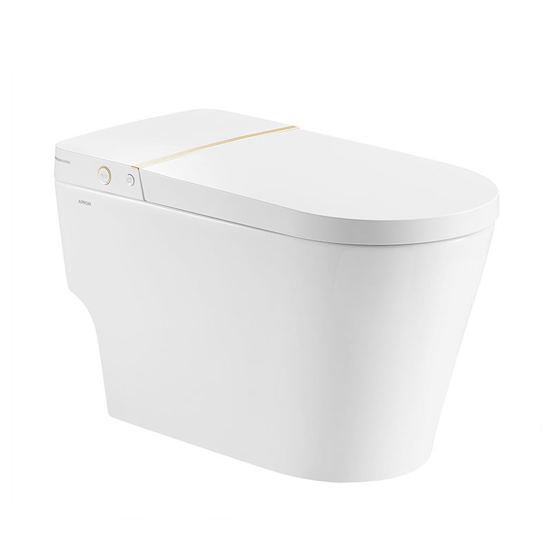Knob Control Ceramic Modern Smart Toilet , Siphonic jet Intelligent Toilet Bowl